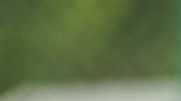 Pablos Larios fue el portero titular en el 
Mundial de México 86