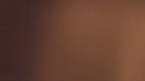 Las mujeres inteligentes y exitosas se casan menos.