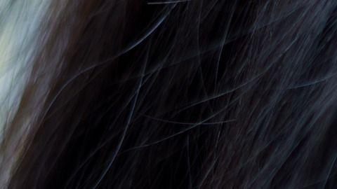 Maquillar demasiado el área o darle un tono muy oscuro puedo echar a la basura todo el esfuerzo que realizaste al maquillar el resto de tu rostro.