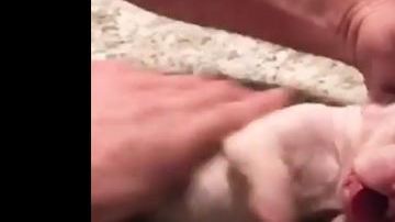 El dueño del animal hizo todo para revivirla.