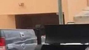 El sujeto apuñaló a perro y causó indignación.