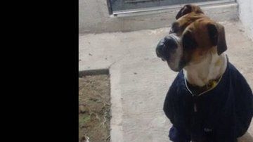 La muerte de "Miguel" desató indignación en la población.