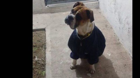 La muerte de "Miguel" desató indignación en la población.