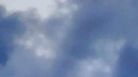 Un virus ha causado un infierno a bordo de un crucero.