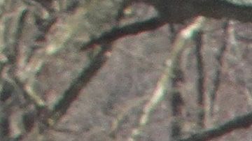 El inmigrante asegura que la Policía de Suffolk lo mantuvo detenido a pesar de pagar su fianza.