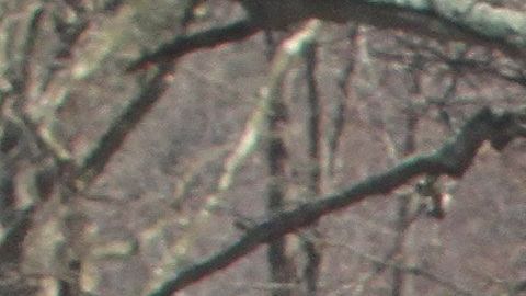 El inmigrante asegura que la Policía de Suffolk lo mantuvo detenido a pesar de pagar su fianza.