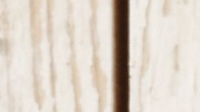 La Prímula es una de las plantas más populares para plantar en macetas e incluso para cultivarlas en el interior de la casa.