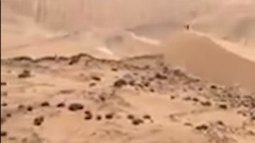 El piloto ruso Andrey Karginov atropelló con su camión a un espectador