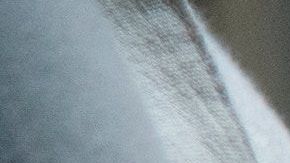 Ante el brote de influenza, es mejor evitar el contacto.