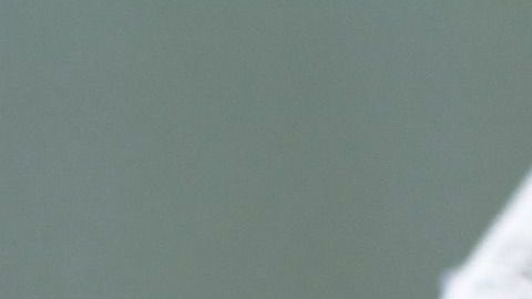 Un análisis descubrió en estos papeles sustancias nocivas para la salud.