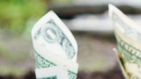 La nueva ley de impuestos hará modificaciones que permitirán que pagues menos impuestos.