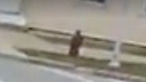 Un niño correr perdido y desatendido hasta que es rescatado.