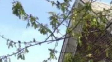 Una de las casas en venta por $1 dólar.