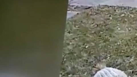 Dos niños devuelven una billetera con todo en su interior.