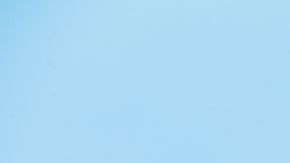 shutterstock_1015257154