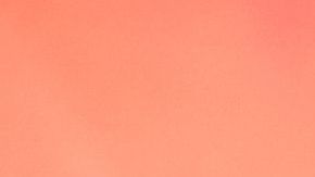 Los estadio de Qatar 2022 venderán alcohol a los aficionados, pero habrá restricciones