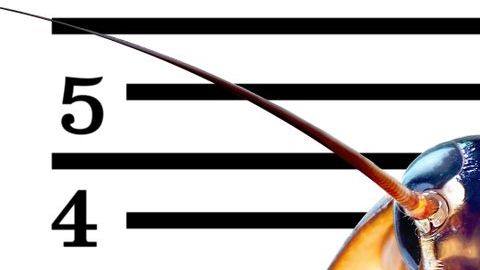 La mejor venganza para el día de los enamorados.