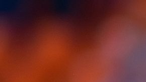 shutterstock_1186925677