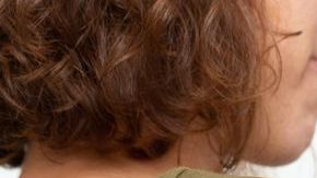 shutterstock_1187243644