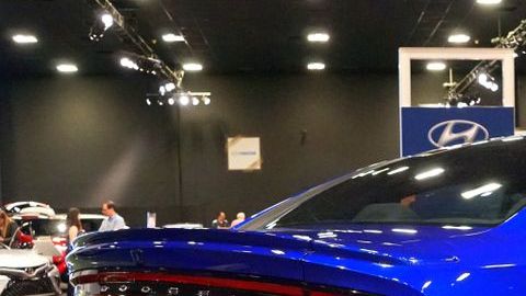 shutterstock_1207945186