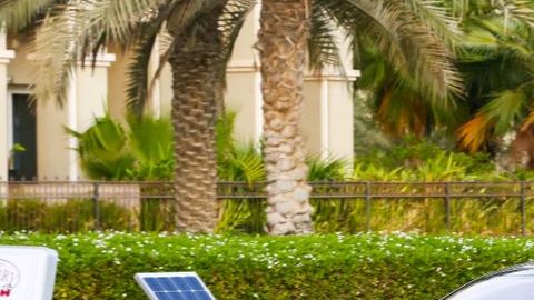 shutterstock_1254000319