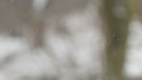 shutterstock_125509616