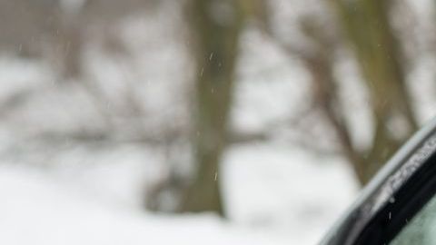 shutterstock_125509616