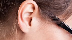 shutterstock_204987514