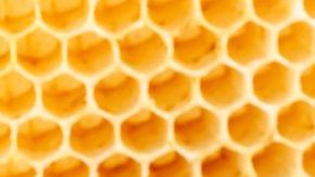 shutterstock_212838274