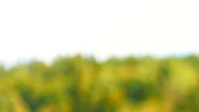 El padre jamás pensó en las consecuencias de su castigo.