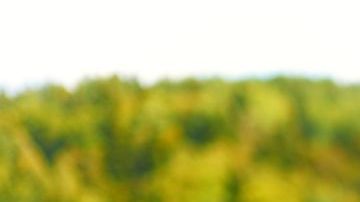 El padre jamás pensó en las consecuencias de su castigo.