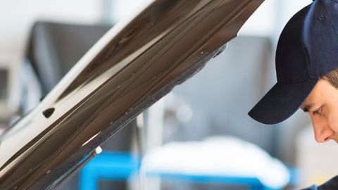 shutterstock_260775146