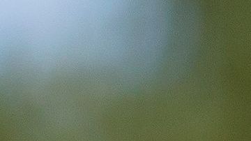 Una red de amaño en el tenis de España se encuentra bajo investigación