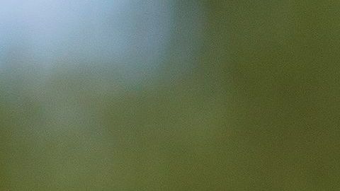 Una red de amaño en el tenis de España se encuentra bajo investigación