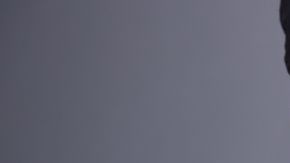 shutterstock_362312609