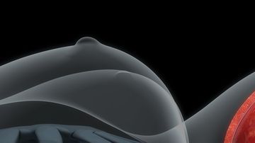 shutterstock_427160347