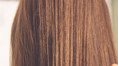 Más de un kilo de pelo le fue encontrado en su sistema digestivo.