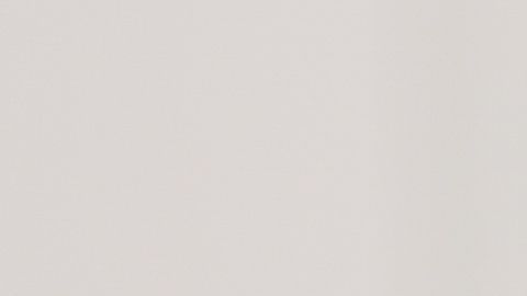 shutterstock_530978797