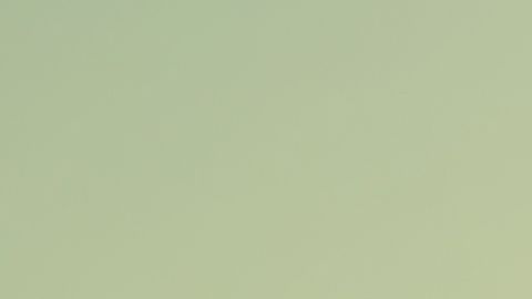 shutterstock_630824309