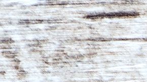 shutterstock_704350660