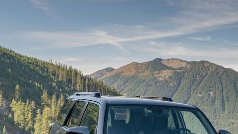 shutterstock_712744384