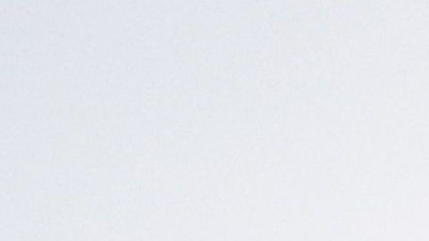 shutterstock_715698619