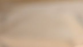 shutterstock_723338824