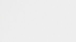 shutterstock_730317259