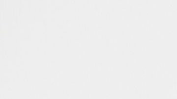 shutterstock_730317259