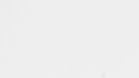 shutterstock_730317259