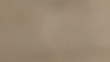 shutterstock_769636327