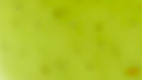 Ten cuidado con tu número de telefonía celular.