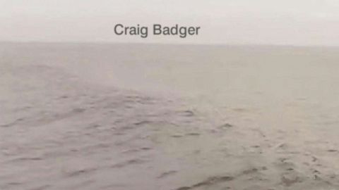 Imágenes capturadas en Ventura, California.