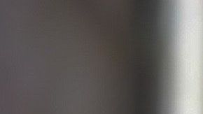 Próximamente, el pollo que comas puede ser transgénico.